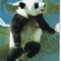 Postcard Giant Panda Cub Sitting On Rock China