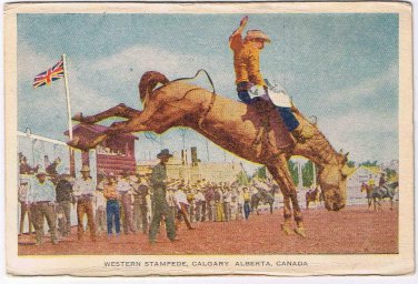 Postcard Western Stampede Calgary Alberta Canada Savings Bonds 1949