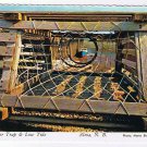 New Brunswick Postcard Alma Lobster Trap & Low Tide
