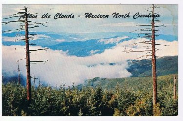 North Carolina Postcard Above The Clouds Clingmans Dome Great Smoky Mountains