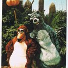 Postcard Look For The Bare Necessities Baloo & King Louie Walt Disney World