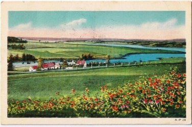 Ontario Postcard Farm Scene River Flowers Postmark Muir Kirk