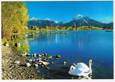 Germany Postcard Idyll am Bergsee Swans