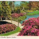 Florida Postcard Blossom Time At Florida's Cypress Gardens