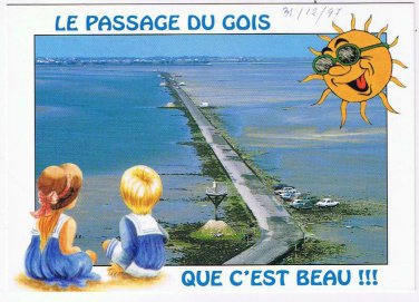 France Postcard Ile de Noirmoutier Le Passage du Gois