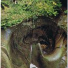 Switzerland Postcard Lucerne Glacier Garden Glacial Pothole
