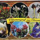 Austria Postcard Flowers Of Austria Multi View