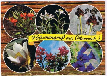 Austria Postcard Flowers Of Austria Multi View