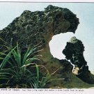 Postcard Parrot Stone Of Yehliu Taiwan
