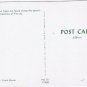Postcard Coconut & Palm Trees White Sandy Beaches Florida