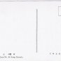 Postcard Warrior In Cave No. 43 Sung Dynasty China