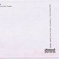 New York Postcard American Falls Night Long Card