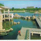 China Postcard Beijing Purple Bamboo Park