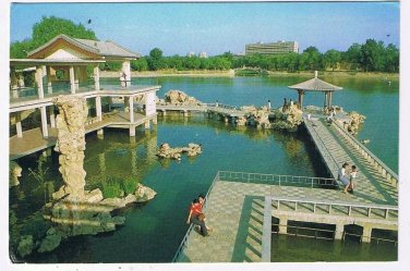 China Postcard Beijing Purple Bamboo Park