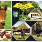 Holland Netherlands Postcard Harderwijk Horses Cows Sheep
