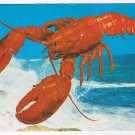 Atlantic Postcard Maritime Lobster Ocean In Background