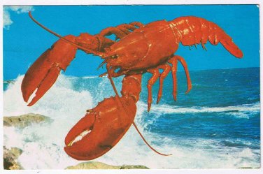 Atlantic Postcard Maritime Lobster Ocean In Background