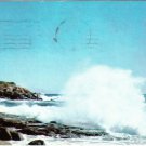 Maine Postcard Ogunquit Cape Neddick Bald Head Cliff Surf Pounding