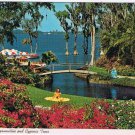 Postcard Roses Bougainvillea & Cypress Trees Cypress Gardens
