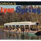 Florida Postcard Silver Springs Glass Bottom Boats Hand Feeding Fish