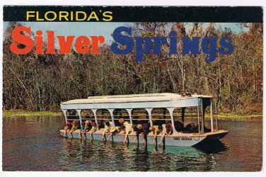 Florida Postcard Silver Springs Glass Bottom Boats Hand Feeding Fish