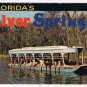 Florida Postcard Silver Springs Glass Bottom Boats Hand Feeding Fish