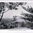 Ontario Postcard RPPC Near Orrville Ontario Trees Lake