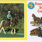 Postcard Pennsylvania Dutch Country Boy Riding Pony