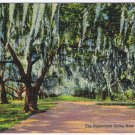 Postcard The Pakenham Oaks New Orleans Louisiana