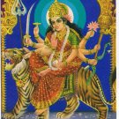 Postcard Godess On Tiger India