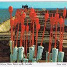 New Brunswick Postcard Eastern Shore Lobster Traps & Buoy Markers