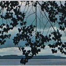 Ontario Postcard Sleeping Giant Lake Superior Thunder Bay Canada Post