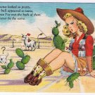 Comic Postcard Cowgirl Sitting On Cactus