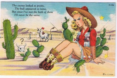 Comic Postcard Cowgirl Sitting On Cactus
