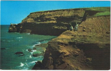 Postcard Gannet Rock At Park Corner Prince Edward Island