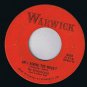 The String-A-Longs Wheels 45 rpm Am I Asking Too Much Canadian Pressing