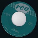 The 4 Seasons Stay 45 rpm Goodnight My Love