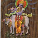 Postcard Lord Krishna Sacred Cow India