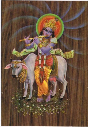 Postcard Lord Krishna Sacred Cow India