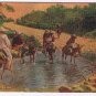 Mexico Postcard Tipos Mexicanos Mexican Type