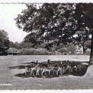 Holland Netherlands Postcard RPPC Lochem Hertenkamp Deer Park