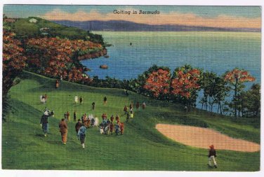 Bermuda Caribbean Island Postcard Golfing In Bermuda