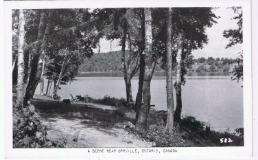Ontario Postcard RPPC Orville Birch Trees On Path By Lake