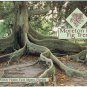 Postcard Moreton Bay Fig Tree Edison Winter Home Fort Myers Florida