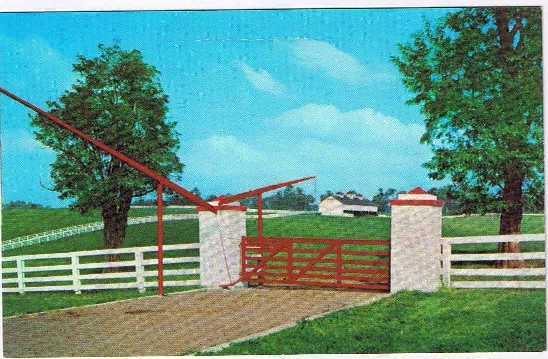 Kentucky Postcard Lexington Calumet Farm Kentucky Derby Winners