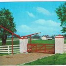 Kentucky Postcard Lexington Calumet Farm Kentucky Derby Winners