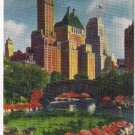 New York Postcard NYC Fifth Avenue Hotels Near Plaza In Central Park