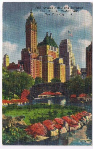 New York Postcard NYC Fifth Avenue Hotels Near Plaza In Central Park