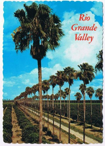 Texas Postcard Rio Grande Valley