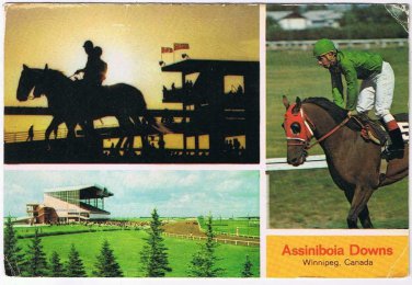 Postcard Assiniboia Downs Winnipeg Manitoba